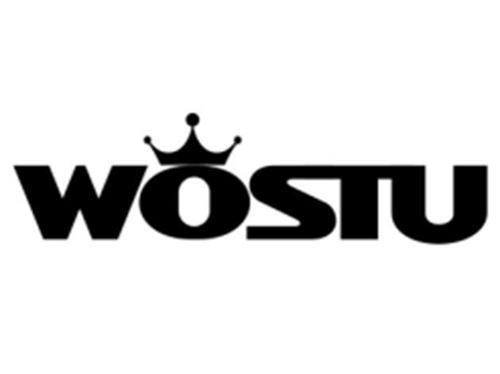 WOSTU trademark