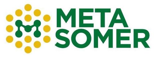 M META SOMER trademark