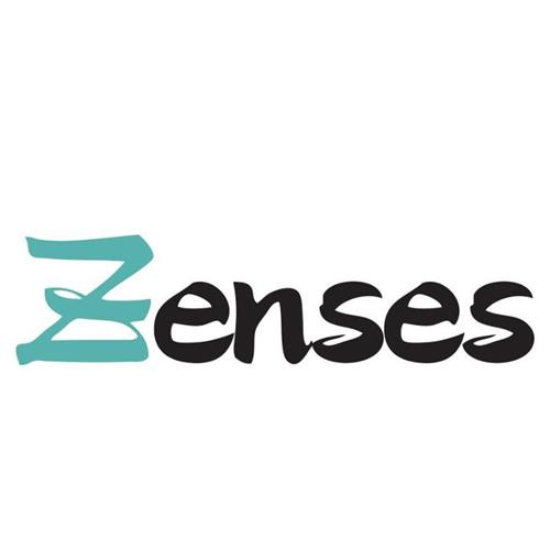 ZENSES trademark