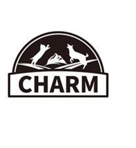 CHARM trademark