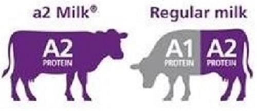 A2 MILK A2 PROTEIN REGULAR MILK A1 PROTEIN A2 PROTEIN trademark