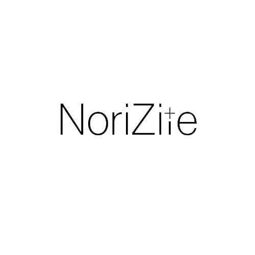 NORIZITE trademark