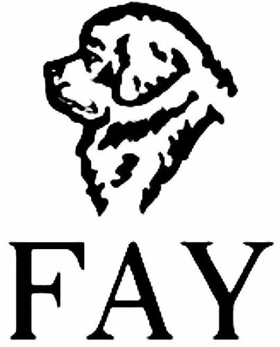 FAY trademark