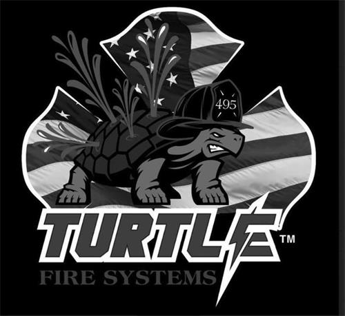 TURTLE FIRE SYSTEMS 495 trademark