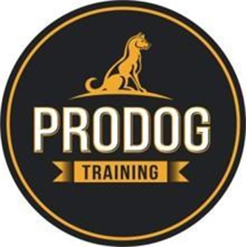 PRODOG TRAINING trademark