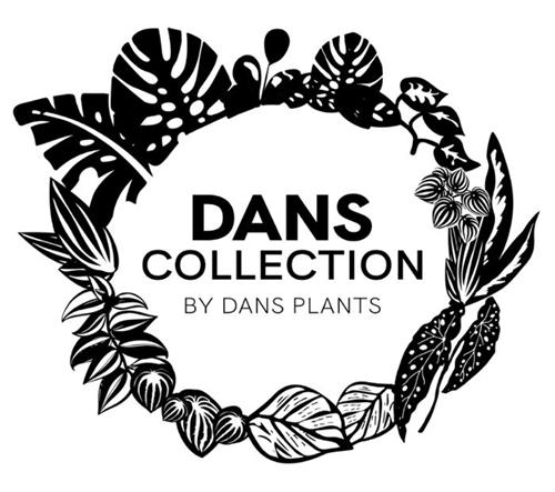 DANS COLLECTION BY DANS PLANTS trademark