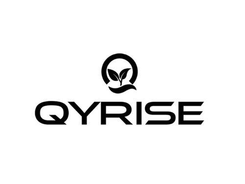 Q QYRISE trademark