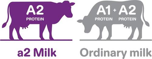 A2 PROTEIN A2 MILK A1 PROTEIN + A2 PROTEIN ORDINARY MILK trademark