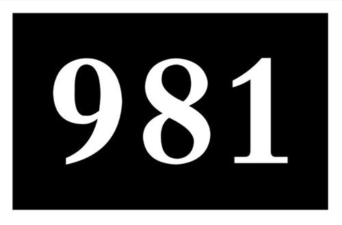 981 trademark